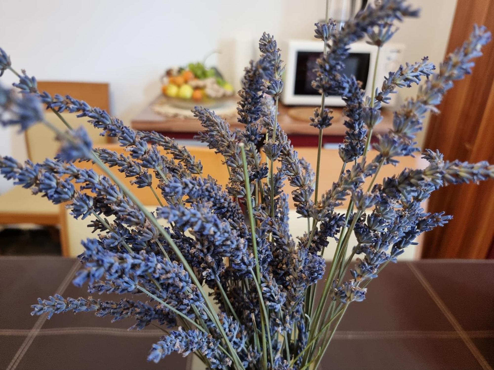***apartment Magic &summervibes*** * Rijeka