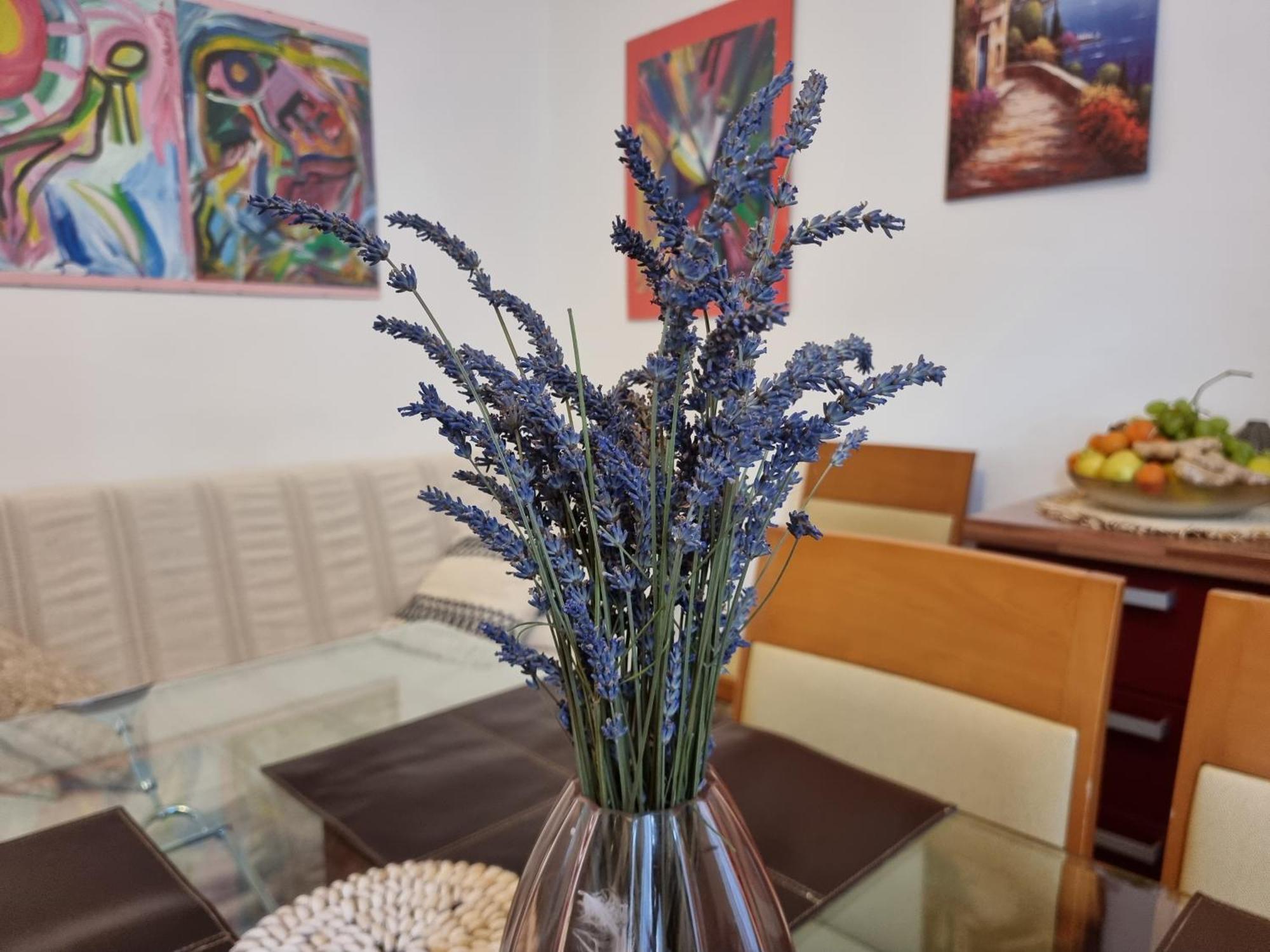 ***apartment Magic &summervibes***