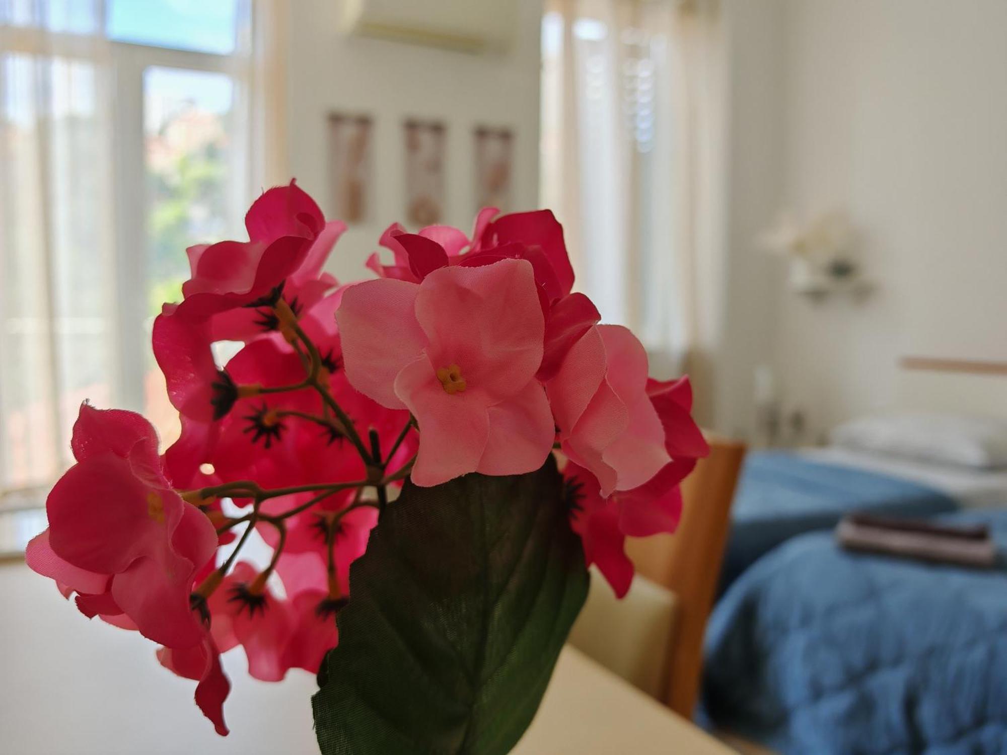 Apartment ***apartment Magic &summervibes*** *